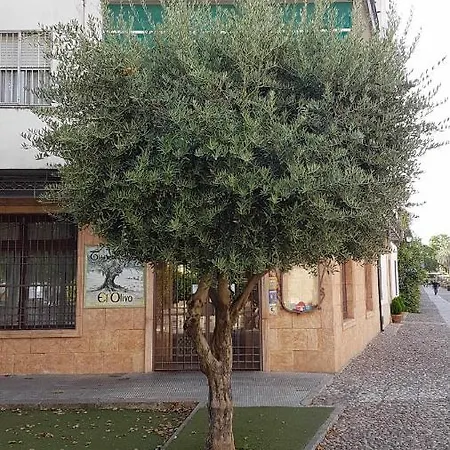 Fantástico Junto A La Judería Córdoba